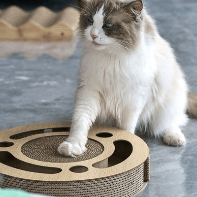 Grattoir Chat - PurrRoundScratcher™ - Minimaliste - Chat Récréatif