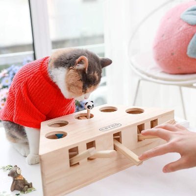 Jouet Interactif Chat - PawHunter™ - 5 Trous - Chat Récréatif