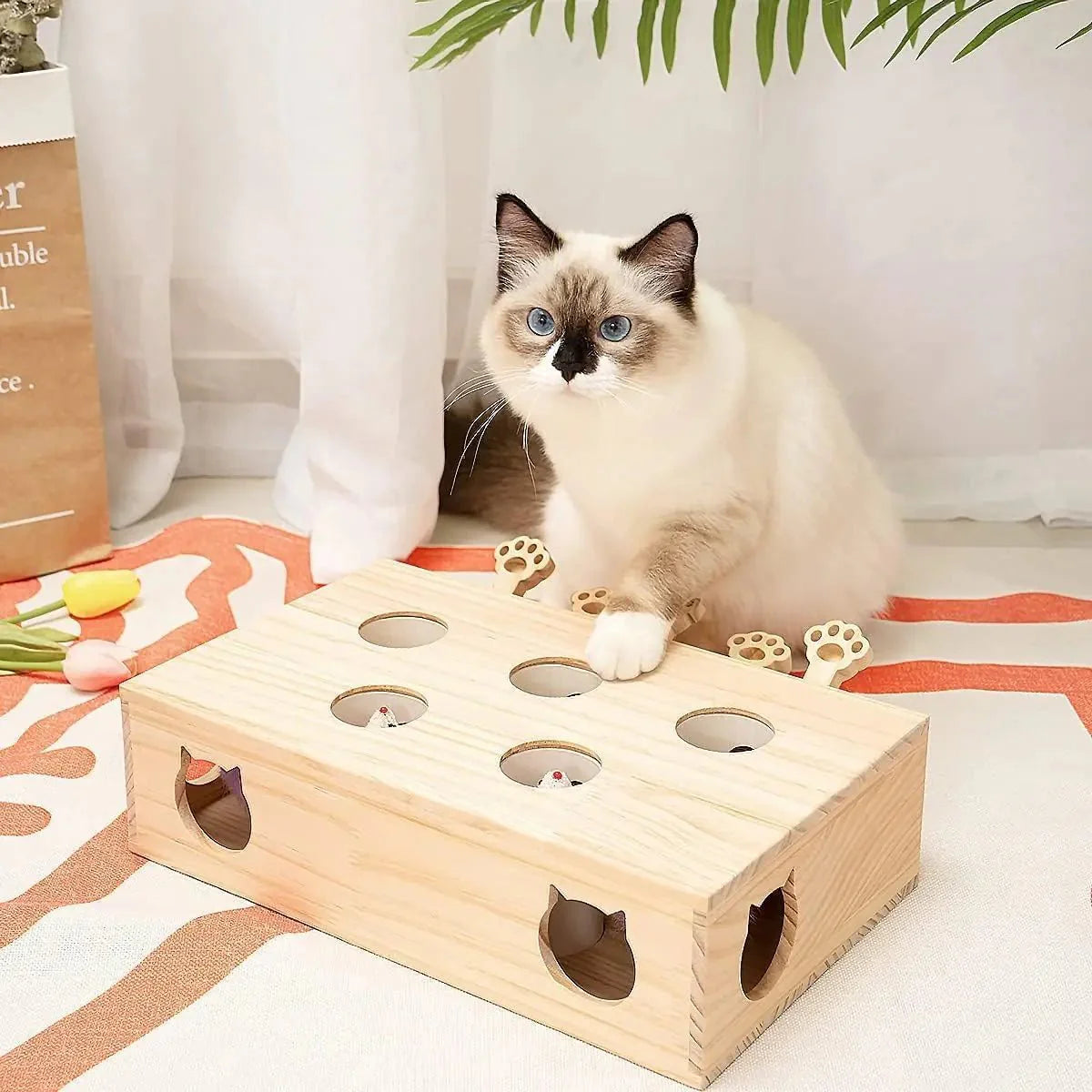 Jouet Interactif Chat - WoodMole™ - Chat Récréatif