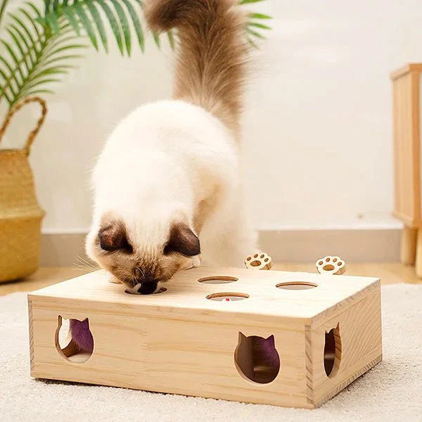 Jouet Interactif Chat - WoodMole™ - Chat Récréatif