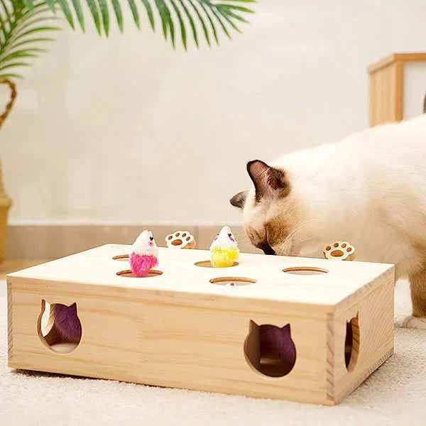 Jouet Interactif Chat - WoodMole™ - Chat Récréatif