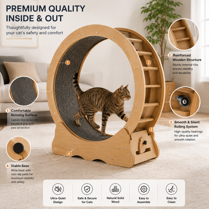 75cm Wooden Cat Exercise Wheel – He Runs, You Sleep, Everyone's Happy