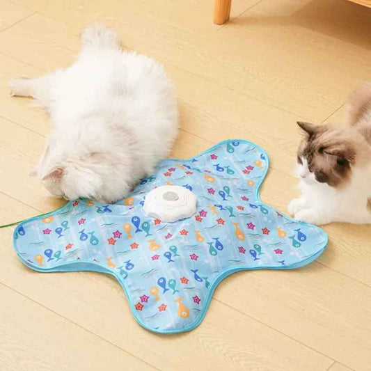 Jouet interactif | Cache cache