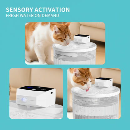 Cordless Cat Water Fountain – 2 L & Motion Sensor