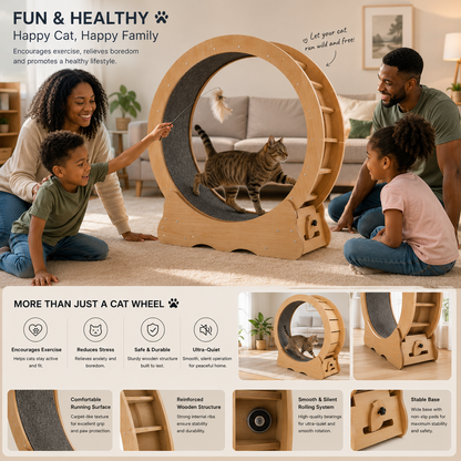75cm Wooden Cat Exercise Wheel – He Runs, You Sleep, Everyone's Happy