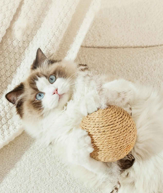 Balle pour chat belle paille