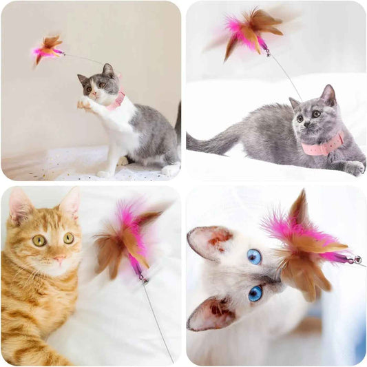 Baton de Taquinerie pour Chat – Plume Interactive avec Clochette