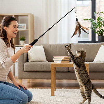 Jouet interactif chat | Puffgect Hunter