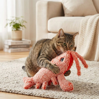 Jeux interactif Crevette | Felistimul