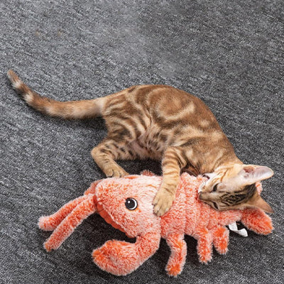 Jeux interactif Crevette | Felistimul