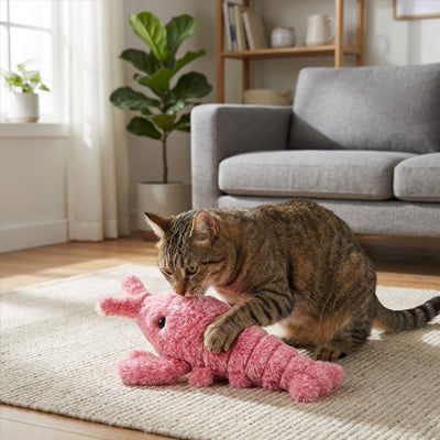 Jeux interactif Crevette | Felistimul