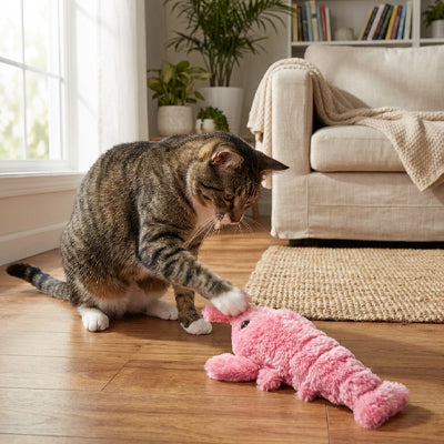 Jeux interactif Crevette | Felistimul