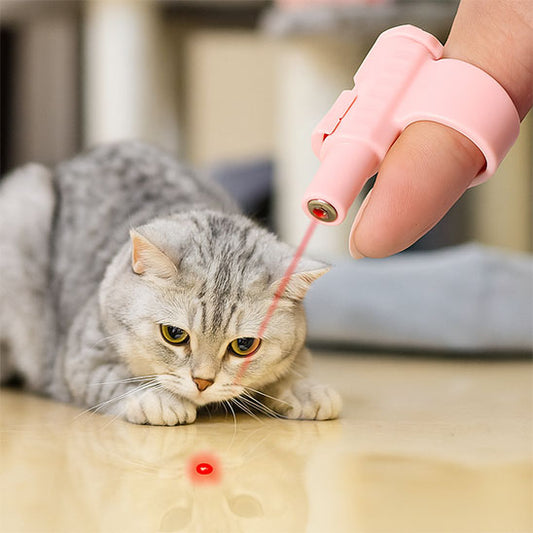 Jouet Laser Interactif pour Chat | FelinHunt