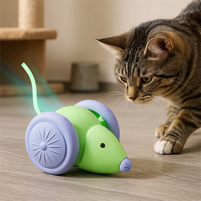 Jouet interactif pour chat | Rechargeable autonome