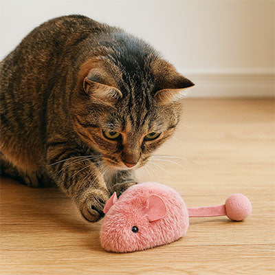 Jouet interactif chat foncé