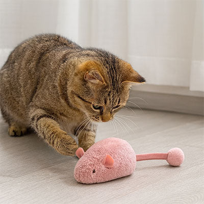 Jouet interactif chat jaune