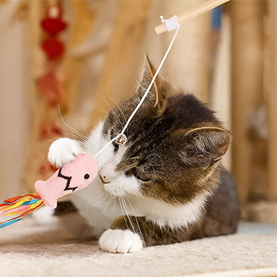 Jouet interactif chat poisson