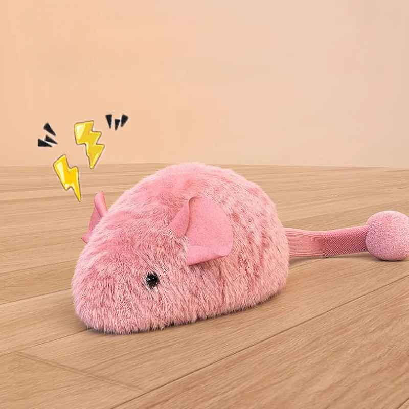 Jouet interactif chat | Lumineux et Sonore