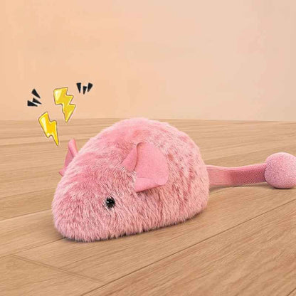 Jouet interactif chat | Lumineux et Sonore