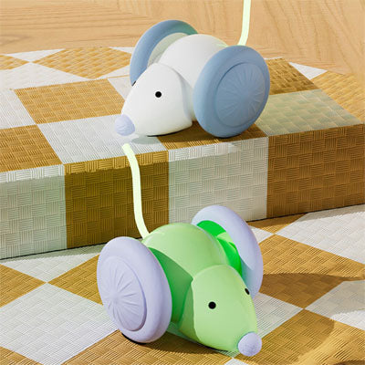 Jouet interactif pour chat | Rechargeable autonome