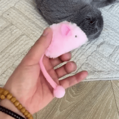 Jouet interactif chat | Lumineux et Sonore