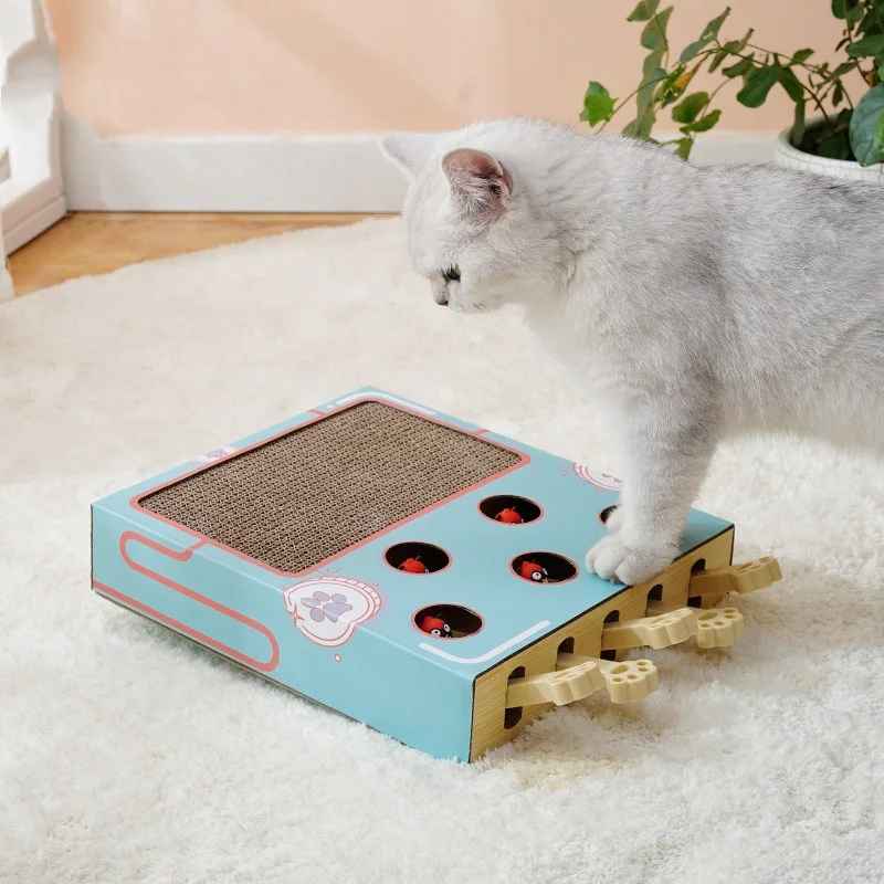 Planche a gratter multifonctionnelle chat blanc