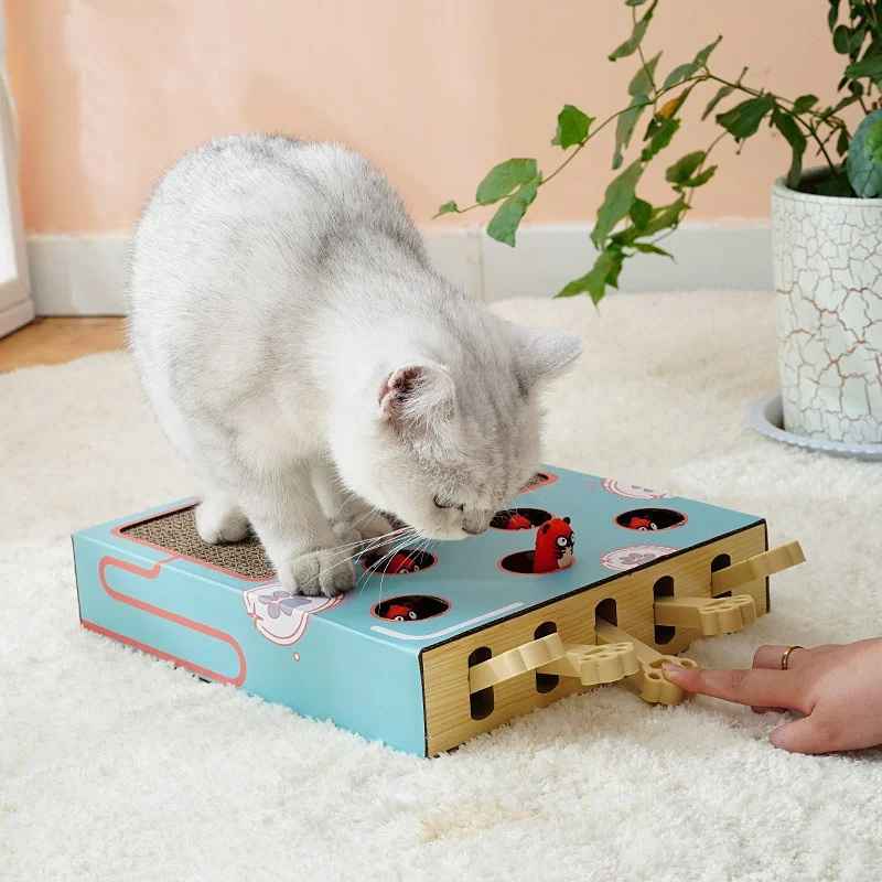 Planche a gratter multifonctionnelle chat