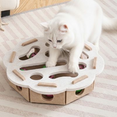 Puzzle pour chat rond
