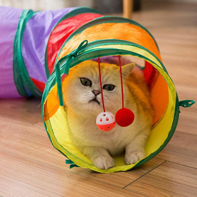 Tunnel pour chat cacher