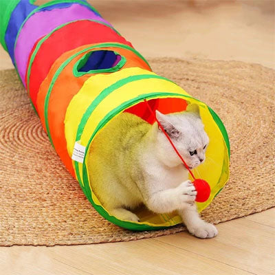 Tunnel pour chat jouant