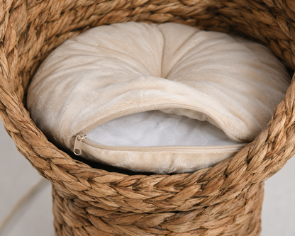 Elevated Water Hyacinth Cat Basket with Washable Cushion