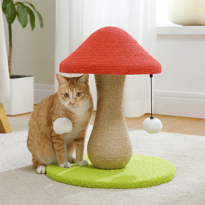 Arbre à Chat - MushroomCatTower™ - Chat Récréatif