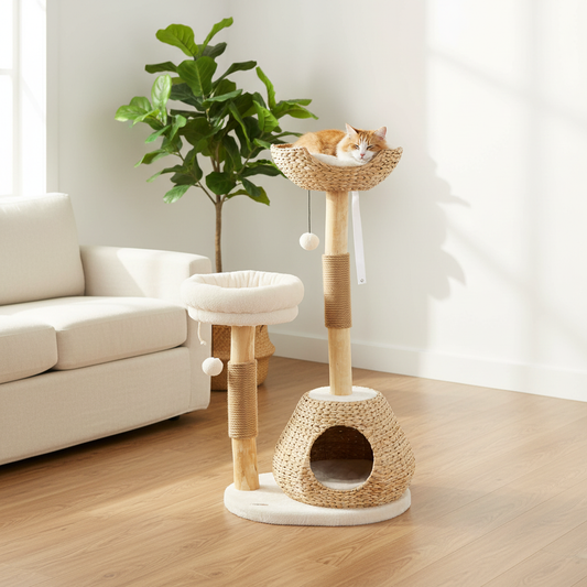 Arbre chat bois poirier jute salon scandinave