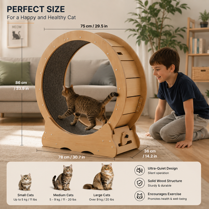75cm Wooden Cat Exercise Wheel – He Runs, You Sleep, Everyone's Happy