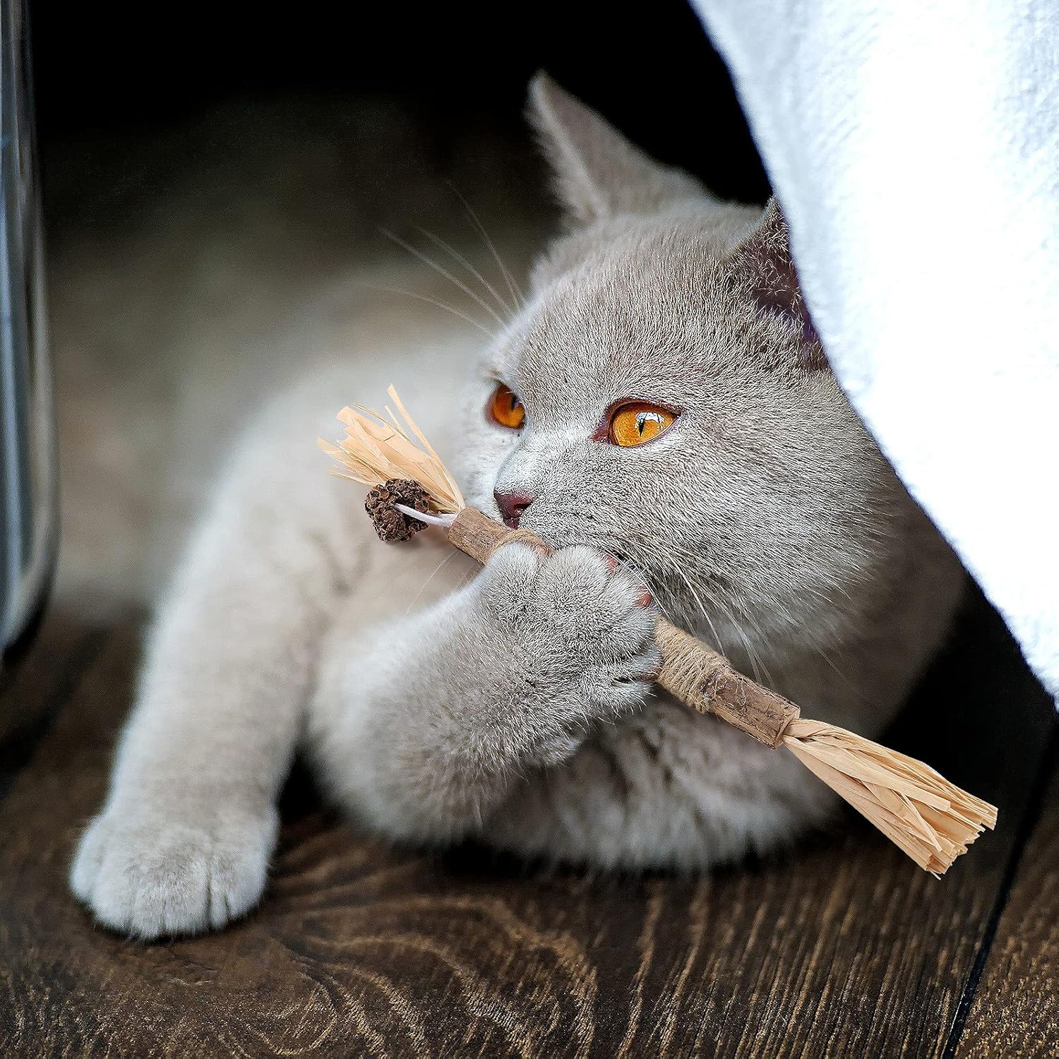 Bâton à mâcher pour chat - PurrStick™ - Chat Récréatif