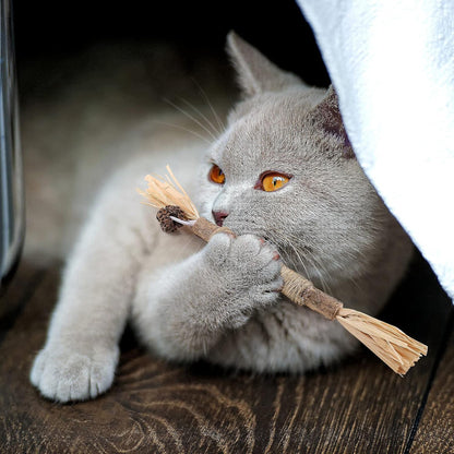 Bâton à mâcher pour chat - PurrStick™ - Chat Récréatif