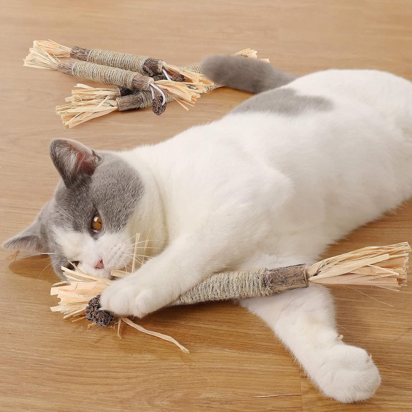Bâton à mâcher pour chat - PurrStick™ - Chat Récréatif