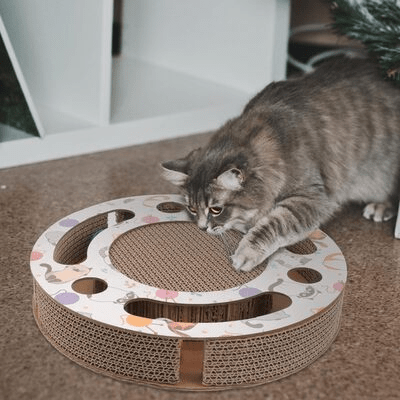 Grattoir Chat - PurrRoundScratcher™ - Chats & Balles - Chat Récréatif