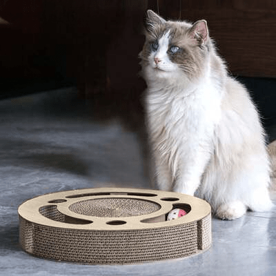 Grattoir Chat - PurrRoundScratcher™ - Minimaliste - Chat Récréatif