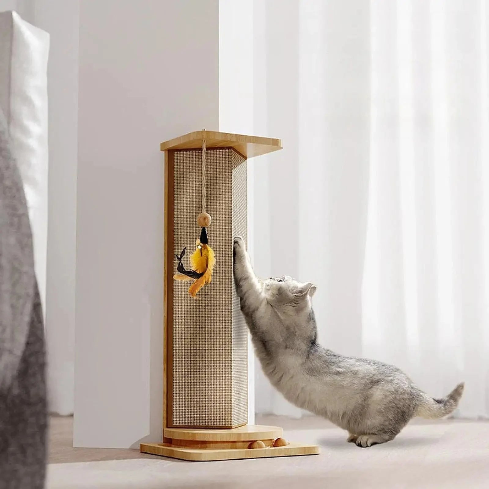 Griffoir pour chat - CatScratcherPost™ - Chat Récréatif