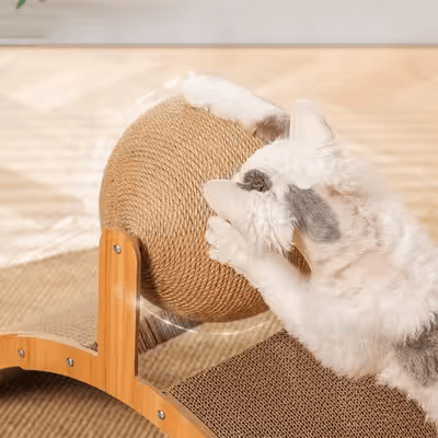 Griffoir pour Chat - Scratch&PlayCatBoard™ - Arc - Chat Récréatif