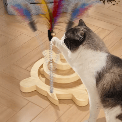 Jouet en Bois - SpinningCatToy™ - Grenouille - Chat Récréatif