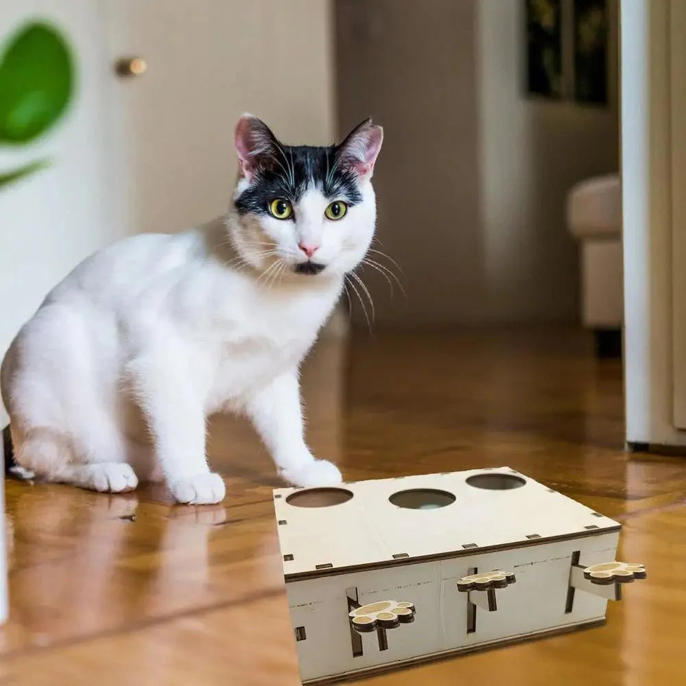 Jouet Interactif Chat - CatWhack™ - Chat Récréatif