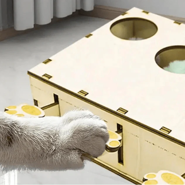 Jouet Interactif Chat - CatWhack™ - Chat Récréatif