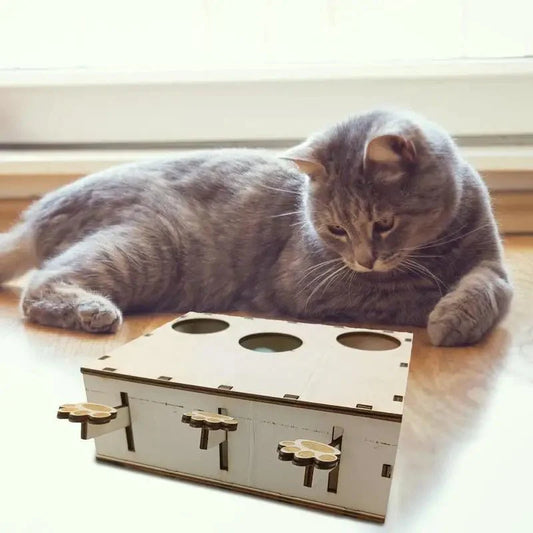Jouet Interactif Chat - CatWhack™ - Chat Récréatif