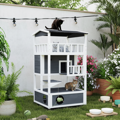 Maison chat jardin avec arbres et fleurs