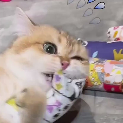 Bâton Interactif Chat en Peluche | FelinPlay