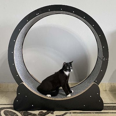 Roue Chat - KittyTread™ - Noir - Chat Récréatif