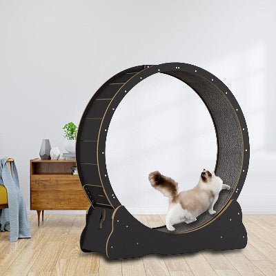 Roue Chat - KittyTread™ - Noir - Chat Récréatif