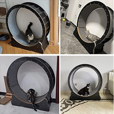 Roue Chat - KittyTread™ - Noir - Chat Récréatif